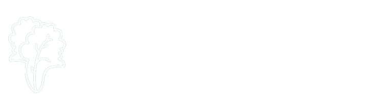 时间查询
